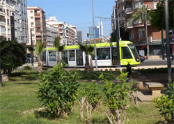 El tranvía de Murcia cumple tres años de servicio 