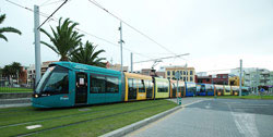 Metropolitano de Tenerife contratar directamente su suministro elctrico 