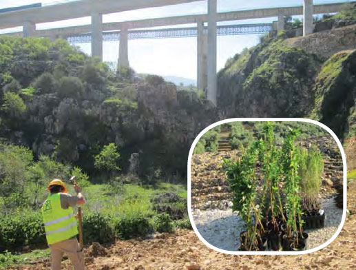 Azvi finaliza la restauración ambiental del tramo Quejigares-Variante de Loja