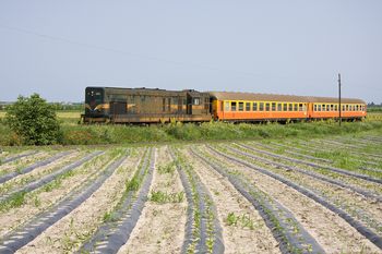 Los Ferrocarriles Rusos reconstruirán una línea en Serbia