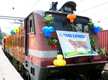 India presenta el Tren turstico Tigre Exprs
