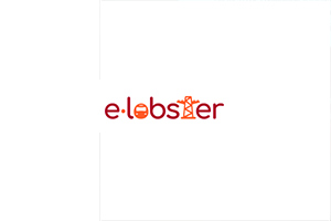 E-Lobster, proyecto de investigacin para reducir las prdidas de energa en las redes urbanas 