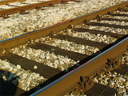 El ocho por ciento de las traviesas del ferrocarril espaol son de madera 