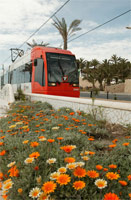 FGV incrementa casi un 60 por ciento las plazas ofertadas en el Tram de Alicante en los ltimos dos aos 