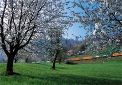 La divisi�n de mercanc�as de los Ferrocarriles Suizos y Hupac crean SBB Cargo International.