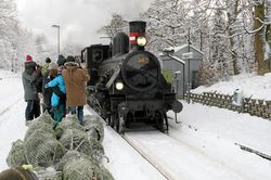 En tren de vapor a cortar el �rbol