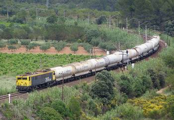 La multinacional Basf presenta su proyecto de terminal intermodal en Tarragona
