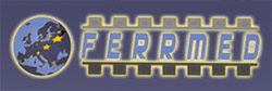 Conferencia de Ferrmed sobre trenes de mercanc�as m�s largos y pesados