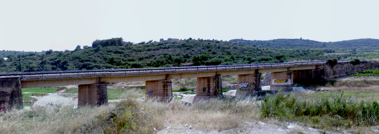 Las aves y el ferrocarril, un estudio ornitológico desde la ventanilla