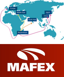 Delegacin comercial de Mafex a Surfrica y Mozambique