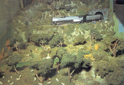 Diorama