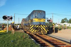 Los Ferrocarriles Uruguayos suprimen casi todos los trenes de viajeros