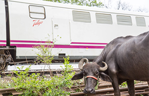 India prueba una composici�n Talgo alquilada a Renfe