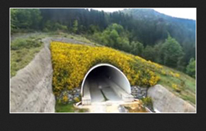 Licitado el proyecto de construcción de plataforma del sector 2 del tramo Mondragón-Elorrio-Vergara de la Y Vasca