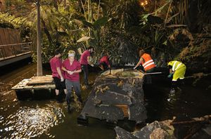 Las tortugas de Puerta de Atocha se mudan a la sierra de Madrid