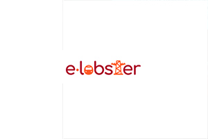 E-Lobster, proyecto de investigación para reducir las pérdidas de energía en las redes urbanas 