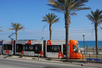 El Tram ofrecer un nuevo servicio directo entre la playa de San Juan y Puerta del Mar de junio a septiembre