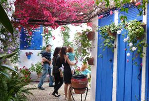 Promoci�n especial en AVE Barcelona-C�rdoba con motivo del centenario de los Patios cordobeses