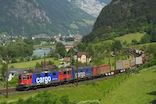 Propuesta de la Oficina Federal de Transporte suiza para mejorar el transporte de mercanc�as