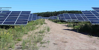 Nuevo parque fotovoltaico para Serveis Ferroviaris de Mallorca