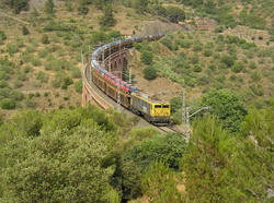 Los trenes de mercanc�as de Renfe evitaron un impacto medioambiental en 2008 valorado en 900 millones de euros