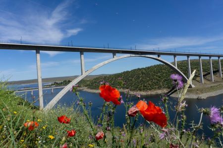 Adif AV cierra una emisi�n de 600 millones de euros en �bonos verdes�