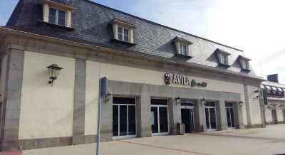 Solicitud para que la estaci�n de �vila se denomine Teresa de Jes�s