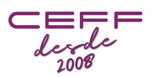 Nuevo curso especial del Ceff para obtener la licencia ferroviaria 