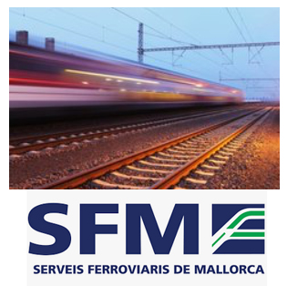 SFM licita el servicio de vigilancia y seguridad