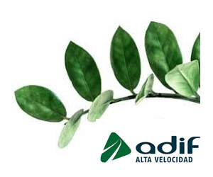 Adif Alta Velocidad realiza su cuarta emisi�n de seiscientos millones en bonos verdes