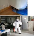 Company leader in Pest Control