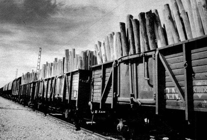 Renfe transportó en 1982 más de trescientas mil toneladas de madera.