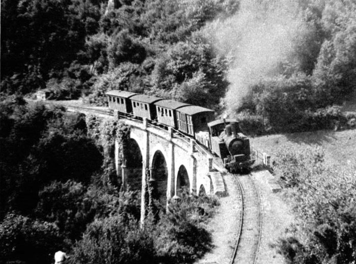 Imagen de un tren del Ferrocarril de Ribadeo a Villaodrid (Lugo).