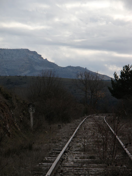 Las vías en su tramo de salida hacia el sur, hacia Soria y Calatayud.