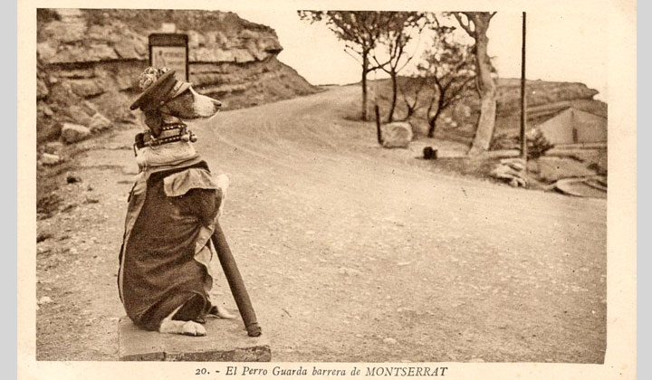 Vista en primer plano del perro guardabarrera en Montserrat. Archivo Histórico Ferroviario TP-VA-0782