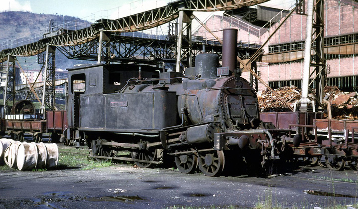 Una de las primitivas locomotoras de vapor del ferrocarril de Tudela a Bilbao, la “Izarra”, construida en 1863, se conserva en la actualidad como monumento, en la estación de Abando. Durante muchos años trabajó como locomotora de maniobras en la fábrica de La Basconia, donde fue captada, por el británico Jeremy Wiseman, en 1968